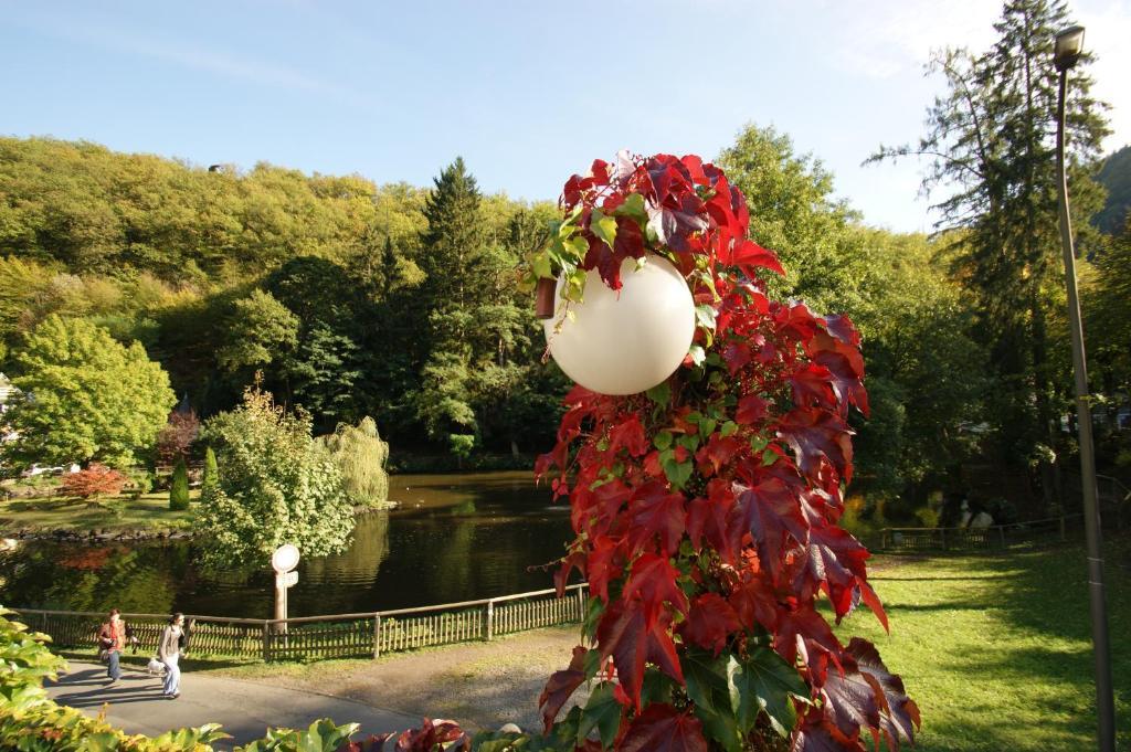 Bertricher Hof Hotel Garni Bad Bertrich Luaran gambar
