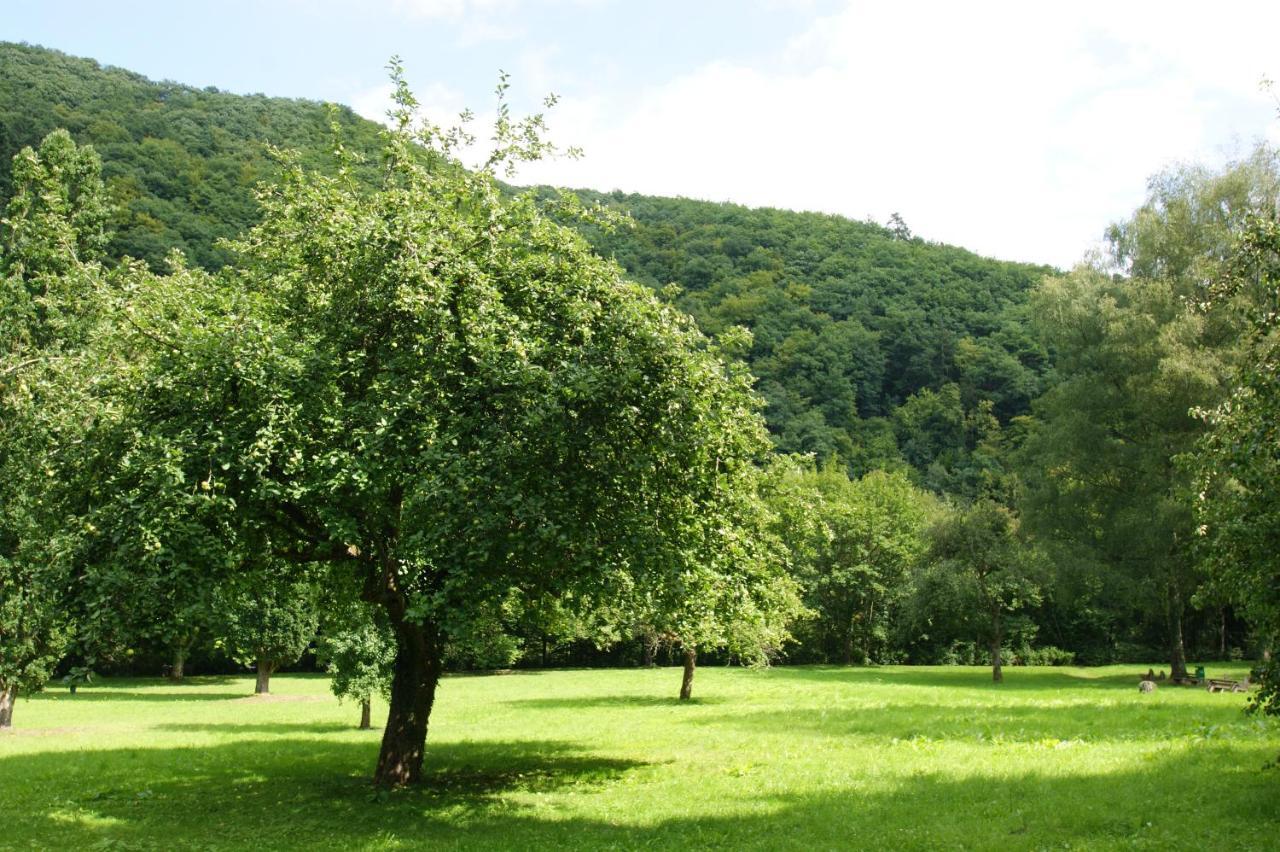 Bertricher Hof Hotel Garni Bad Bertrich Luaran gambar